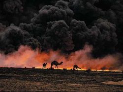 Саудовская Аравия: нефтяная война до победного конца